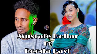 MUSTAFE DOLAR FT ROODA KAYF 2025 TANI HEES WAY DHAAFTAY PEST SONG MUSIC [upl. by Dougherty]