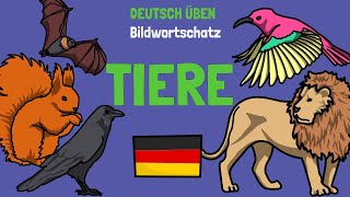 🦜 Tiere Wortschatz  Animals in German  A1A2  Deutsch lernen  Learn German [upl. by Matheny]