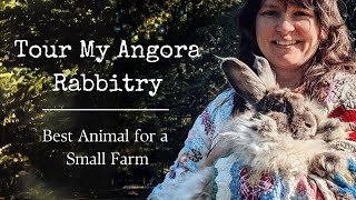 Best Animal for Small Fiber Farm Tour My Angora Rabbitry [upl. by Valonia15]