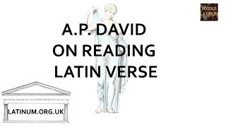 Latin Accent and Ictus in Poetry  A P Davids Theory [upl. by Annais534]