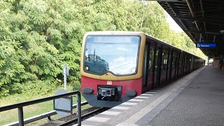 SBahn Berlin Mitfahrt auf dem KmplPV S1 von Waidmannslust bis Wittenau in der BR481 [upl. by Zalea908]