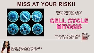 learn mitosis cell division [upl. by Tuneberg241]