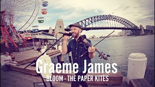 Bloom  Paper Kites  Violin Loop Cover [upl. by Annaitat]