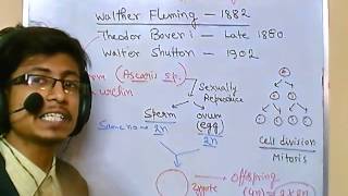 Genetics lecture 8  mitosis and meiosis cell division [upl. by Elocin]