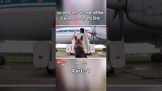 उस डॉग को उसके मालिक ने Airport पर ही छोड़ दिया Part01 😯movieexplainedinhindi shorts viralshorts [upl. by Eirehc73]