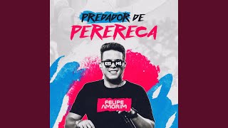 Predador de Perereca [upl. by Lukey209]