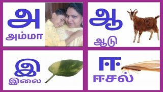 தமிழ் உயிரெழுத்துகள்Quiz1Lesson 15 RevisionTamil Alphabetsஅ ஆ இ ஈTamil learning [upl. by Nyrual]