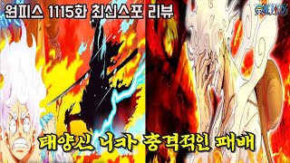 원피스 1115화 최신근황태양신 니카 충격적인 패배와 포네그리프 공백의 100년 모든 진실과 비밀 공개 [upl. by Wengert]