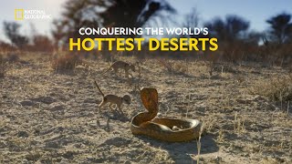 Survival in the Desert  Hostile Planet  हिंदी  S1  E4  Nat Geo Wild [upl. by Ainyt]