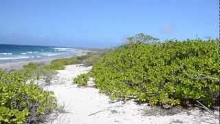 Kiritimati aka Christmas Island [upl. by Eniledam647]