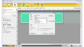 Brother Ptouch label printers  How to add numbering [upl. by Imit588]