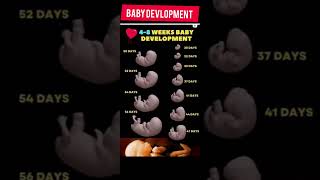 baby development from 0 to 9 months।। baby development stages in pregnancybaby shorts [upl. by Eiaj]