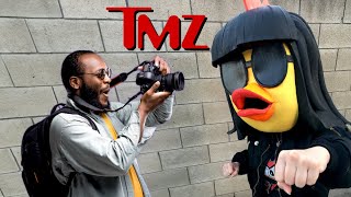 Rockin Robin Punches Paparazzi TMZ PARODY [upl. by Adriena465]