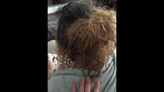 How To Effectively Detangle Matted Hair Without Cutting  How To Untangle Matted Hair  2019  12 [upl. by Dorise]