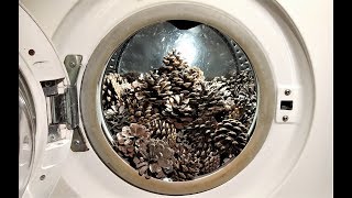 Experiment  Pine Cones  in a Washing Machine  Centrifuge [upl. by Parsaye606]