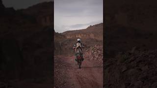 AFRICA TWIN WHEELIE WEDNESDAY 🔥🫠 [upl. by Niletak894]