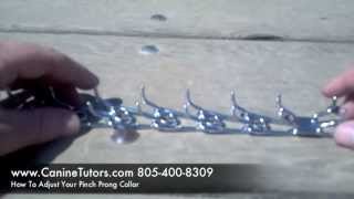 How To Adjust Or Fit Your Pinch Prong Collar wwwCanineTutorscom 4084551503 [upl. by Phox]