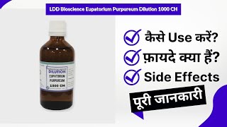 LDD Bioscience Eupatorium Purpureum Dilution 1000 CH Uses in Hindi  Side Effects  Review [upl. by Sevy]