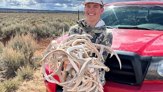 We found a pocket of deer horns 2024 shed hunting [upl. by Eillam]