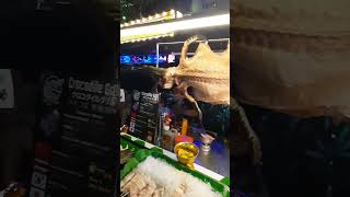 🐊 Гену сожрали 🌍 🇹🇭 travel streetfood bangkok [upl. by Gnem968]