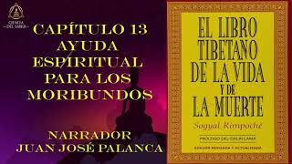 CAPÍTULO 13  AUDIOLIBRO  EL LIBRO TIBETANO DE LA VIDA Y LA MUERTE [upl. by Manning]