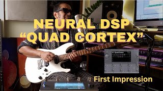 Neural DSP Quad Cortex  First Impression [upl. by Ahsiadal]