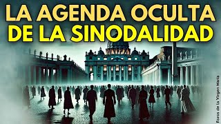 El Objetivo Oculto de la Sinodalidad ¿Es la Puerta Abierta a la Apostasía [upl. by Peppard]