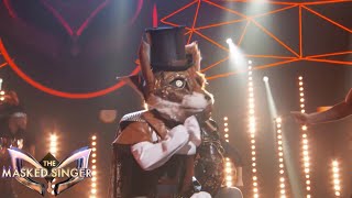 Fox singing “Hey Look Ma I Made It“ by Panic At The Disco THE MASKED SINGER SEASON 2 [upl. by Hope]