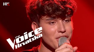 Sergej Božić quotRužica si bilaquot  Audicija 1  The Voice Hrvatska  Sezona 4 [upl. by Robby]