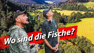 Fliegenfischen lernen für Anfänger Wie finde ich die Fische [upl. by Gnehc]