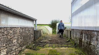 Visite de la Ferme botanique de Kerveat [upl. by Smaj]