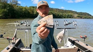 These Catfish Had No Problem Eating Big Bait Ohio River Fishing [upl. by Retla]