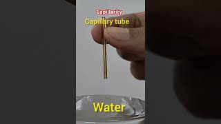 Capillarity  capillary action  केशिकात्व  surface tensionadhesive force education science [upl. by Dredi]