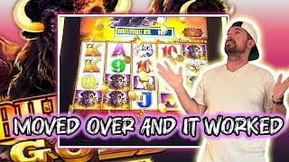 Moved Over ONE Slot Machine at the Casino and Im Glad I Did Playing Buffalo Gold Slot [upl. by Ern]