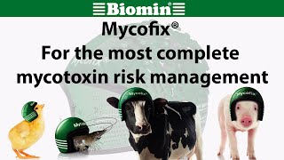 Mycofix®  For the most complete mycotoxin risk management Dansk [upl. by Auqcinahs79]