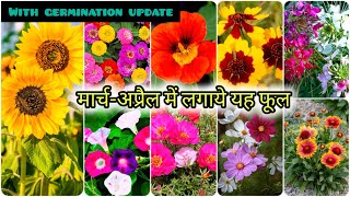 मार्च अप्रैल में लगाये इन् फूलों को  Top 20 Summer flowering plants From seed To saplings update [upl. by Longawa573]