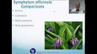 Symphytum officinale Homeopathic Medicine Tips For Beginners [upl. by Eceinahs459]