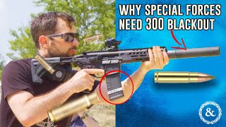 300 Blackout Subsonic Special Forces Weapon [upl. by Recnal]