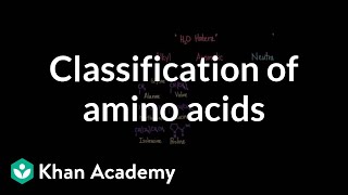 Classification of amino acids  Chemical processes  MCAT  Khan Academy [upl. by Brandise661]