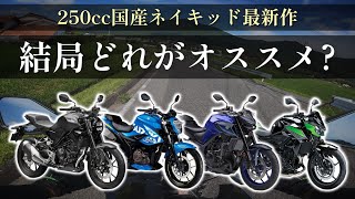 【全て乗りました】250ccネイキッド 最新作はこれを選んでおけば間違いない！【cb250r gixxer250 z250 mt25】 [upl. by Annaiuq]