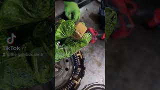 Ford Powershift teardown automobile mechanic gearbox [upl. by Eeloj637]