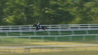 15 October Gallops Gallop 8 [upl. by Yelnek]