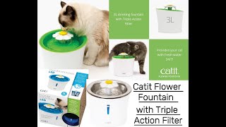 Catit Flower Fountain with Triple Action Filter  cat lovers shortsvideo [upl. by Prentice618]