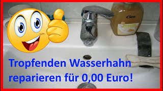 Tropfenden Wasserhahn reparieren Einhandmischer Kartusche Patrone ausbauen entkalken und fetten [upl. by Iidnarb112]