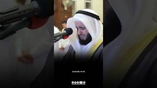 Surah Hūd  4143  Emotional Quran Recitation  Mishary Rashid Al Afasy [upl. by Aleina]