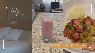 What I Eat In A Day  Animal Based  Raw Milk Smoothie  vlog whatieatinaday [upl. by Airun]