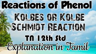 38Q12Reactions of PhenolKolbes ReactionKolbes Schmitt RxnHydroxy Compounds TN 12 th STD [upl. by Evey]