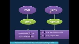 Arterial Blood Gas Analysis ABG [upl. by Nwahsel28]