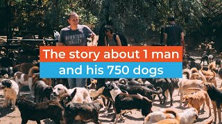 THE LAST BARK  The Story About 1 Man and His 750 Dogs  Sashas Shelter Nis Serbia [upl. by Artus696]