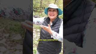 Faltan regulaciones para una experiencia de recreación con respeto al ecosistema en El Batán [upl. by Clauddetta]